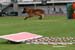 01fosse_7376