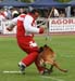 24fuy_7436