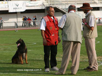 00presentation_6412