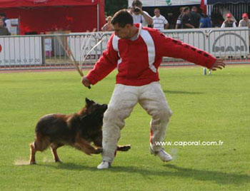 18fuy_6474