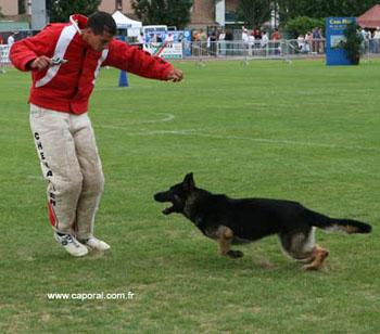 10recherche7_7293