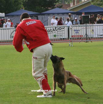 18-fuy_6406
