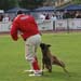 18-fuy_6406