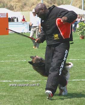 OURAL-fuy01
