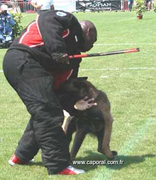 OURAL-fuy07