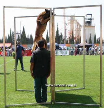 OURAL-palissade