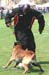OURAL-fuy06
