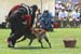 OURAL-valise02