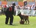 OURAL-valise04