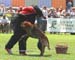 OURAL-valise06
