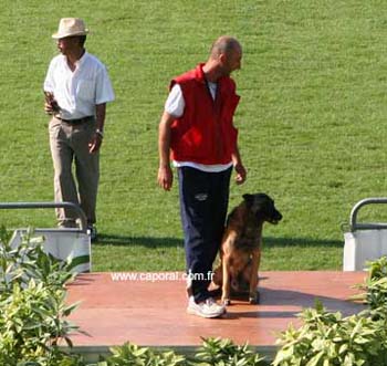 Rocco-