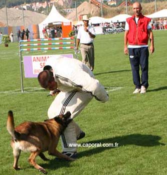 Rocco-Recherche04