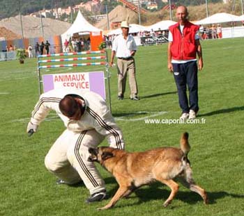 Rocco-Recherche05