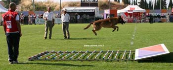 Rocco-fosse