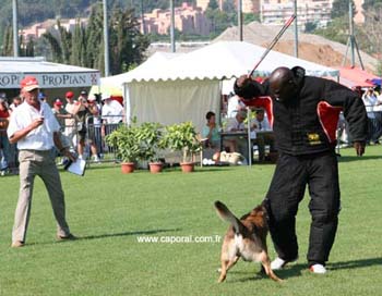 Rocco-fuy04