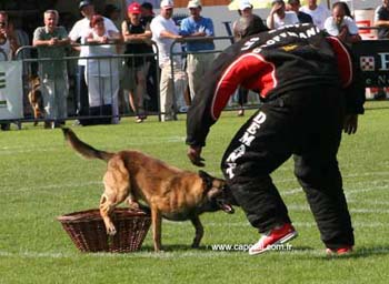 Rocco-valise05