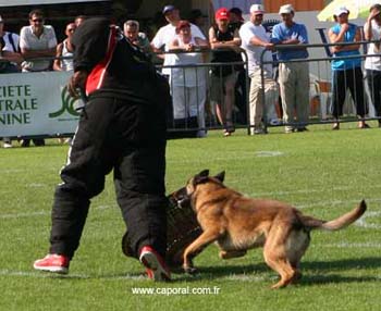 Rocco-valise07