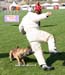 Rocco-Recherche01