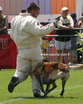 Roussillon-GauF01
