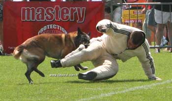Roussillon-GauF04