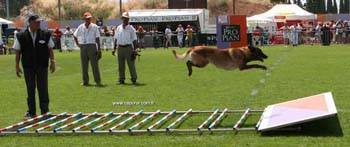 Roussillon-fosse