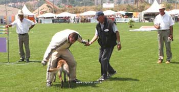 Roussillon-recherche07