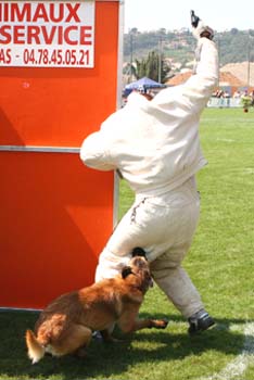 Top_Gun-recherche-cache03