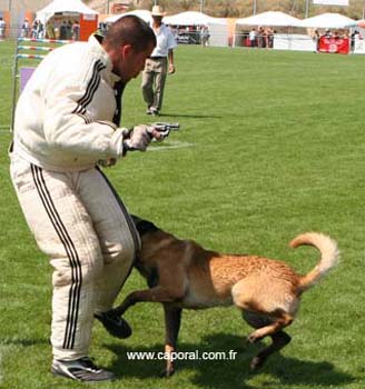 Top_Gun-recherche-cache05