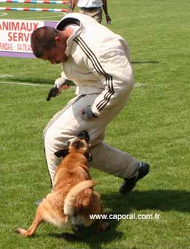 Top_Gun-recherche-cache06