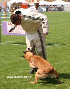 Top_Gun-recherche-cache07