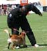 Top_Gun-fuy06