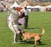 Top_Gun-recherche-08