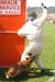 Top_Gun-recherche-cache03