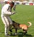 Top_Gun-recherche-cache05