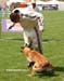 Top_Gun-recherche-cache07